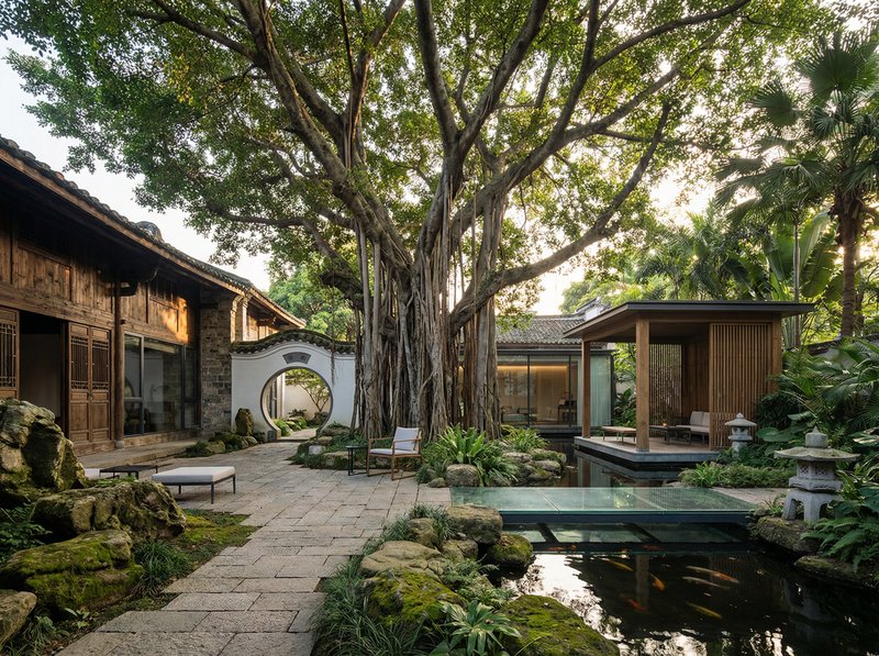 海角社区古榕树纪录片视频